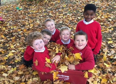 Fun in the Leaves Oct 2020