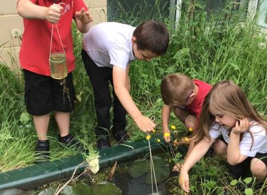 Reception pond dipping June 2021